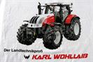 KARL WOHLLAIB - 5 farb. Echtfarbseparation_Rasterdruck